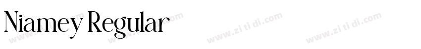 Niamey Regular字体转换